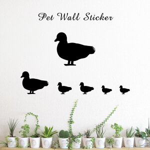 y }\ P5{ z EH[XebJ[ y R[_bN z킢 ybg V[ VGbg ObY  v[g Mtg JbeBO ]ʃV[ ]ʃV[g  CeA 