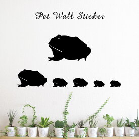 楽天市場 ベルツノガエル セットの通販