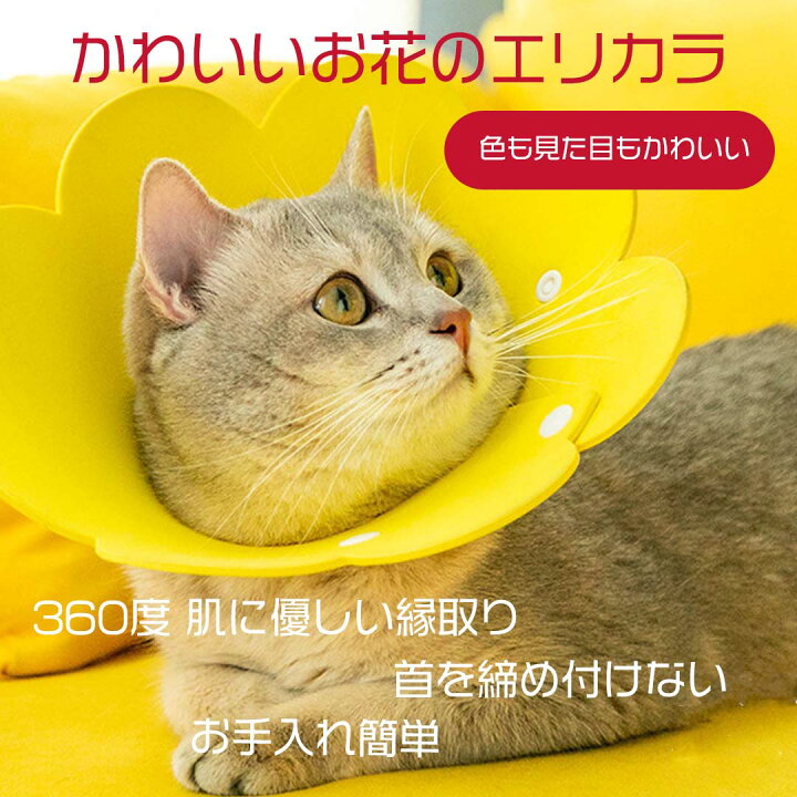 エリザベスカラー 猫 ネコ 軽量 ソフト ストレス軽減 黄 S 2個セット
