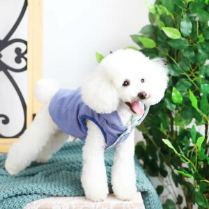 yX[p[SALE |Cg10{z  ~ Z[    H ~  ₷ ̕ ybg UnTouTou AE^[  t[ht OJ xXg h h g