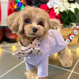 【1,000円ポッキリ】 犬 冬服 セール 犬 服 犬服 秋服 冬服 おしゃれ 着せやすい 犬の服 ペット服 DogyPoo キラキラ 木馬 ラインストーン ドット 襟リボン 暖かい 女の子 暖かい