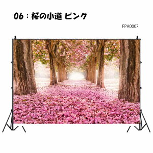 wiz Bep wiV[g  킢 i w W120×H80cm W150×H100cm Bep wiz CX^  wiXN[ ^yXg[ ybgʐ^ LO   AX Be L  yb