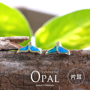 nCAWG[ sAX Y NŴ zG[eC NW fB[X sAX Ў }U[ Iu p[ nCAWG[ Vo[sAX Y WG[ Ai 