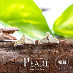 nCAWG[ sAX Y NŴ zG[eC NW fB[X sAX  nCAWG[ Vo[sAX y Y WG[ Ai lC  ޏ 