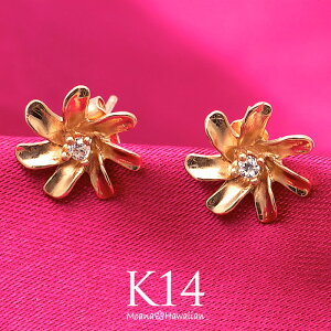 nCAWG[ sAX fB[X K14 sNS[h K̉ԃeBA fB[X y fB[X Ai  lC   ޏ ގ l Vv j LO Mt