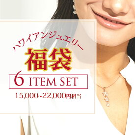 ハワイアン ジュエリー 福袋 2024 ハワイアン 福袋 ハワイアンジュエリー レディース 6点セット ネックレス リング ピアス 15,000～20,000円相当！ハワイアンジュエリー レディース モアナ ポイント お祝い 記念 父の日 ギフト プレゼント 春夏