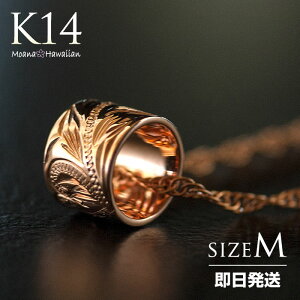 nCAWG[ S[hlbNX Y 14k K14 sNS[h o M y_g fB[X 蒤  Ai lC   ޏ l Vv Mtg v[gy