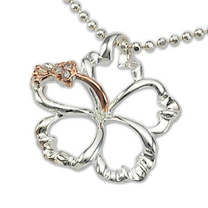 nCA lbNX nCAWG[ I[vnCrXJX sNS[h Vo[ y_g fB[X y Ai  Mtg Y fB[X ޏ j LO 