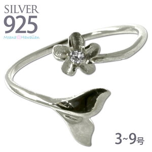 nCAWG[ sL[O lbNX zG[e[ NW K O NW O  NW̃Vb| w C[O Ai  fB[X  