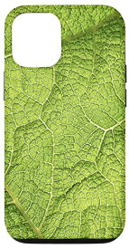 iPhone 12/12 Pro 自然からインスパイアされた緑の壁紙 スマホケース