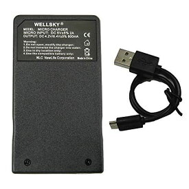 WELLSKY [ ペンタックス D-LI122 D-LI68 ] [ 富士フィルム NP-50 NP-50A ] [ コダック KLIC-7004 ] 用 [ 超軽量 ] USB Type C 互換 急速充電器 ...