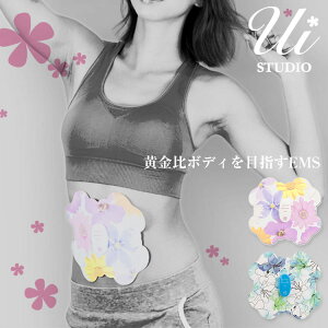 yUiStudio/ECX^WIzƂŊȒPȂ_CGbgIl{ihEMS ̘r r  т v`v d Quaro NA ԕ t[sN y[u[ dr EMS pbh [Y490] y