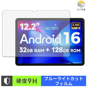 �y���������}���\���|�C���g2�{�z FPD CP12-J1 9H ���d�x �u���[���C�g�J�b�g �ی�t�B���� �A���`�O���A �w��h�~