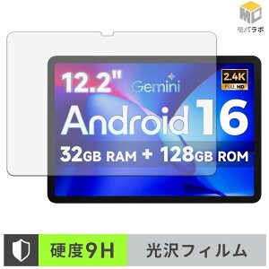 �y���������}���\���|�C���g2�{�z FPD CP12-J1 9H ���d�x �ی�t�B���� ���� ������ �w��h�~ �t���ی�t�B����