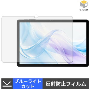 BIRDCLAW P11 Pro �u���[���C�g�J�b�g �ی�t�B���� �A���`�O���A �w��h�~ ���˖h�~ �t���ی�t�B����