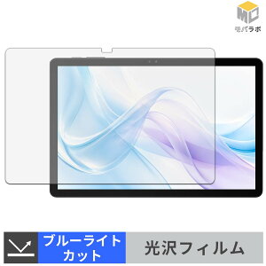 BIRDCLAW P11 Pro �u���[���C�g�J�b�g �ی�t�B���� ���� ������ �w��h�~ �t���ی�t�B���� ���h�~