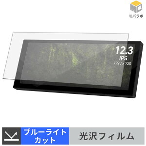 �y���������}���\���|�C���g2�{�z MSI MAG VIEW XPANDER 12 / 12 WHITE �u���[���C�g�J�b�g �ی�t�B���� ���� ������ �w��h�~ �t���ی�t�B���� ���h�~