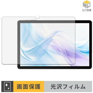 BIRDCLAW P11 Pro �ی�t�B���� ���� ������ �w��h�~ �R�� �t���ی�t�B���� �ی�V�[�g ���h�~