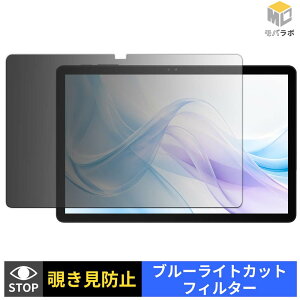 BIRDCLAW P11 Pro �`�����h�~ 180�x �v���C�o�V�[�t�B���^�[ �ی�t�B���� �u���[���C�g�J�b�g