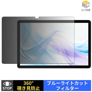 BIRDCLAW P11 Pro �`�����h�~ 360�x �v���C�o�V�[�t�B���^�[ �ی�t�B���� �u���[���C�g�J�b�g