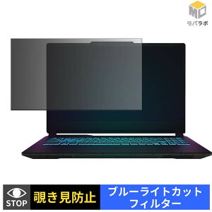 �y�y�V�X�[�p�[SALE �|�C���g2�{�z MSI Cyborg 15 A13V �`�����h�~ �ی�t�B���� �^�u�V�[���� �u���[���C�g�J�b�g �v���C�o�V�[�t�B���^�[ �p�\�R�� PC