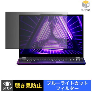 �y�y�V�X�[�p�[SALE �|�C���g2�{�z TOPGRO S1 / S1 pro �`�����h�~ �ی�t�B���� �^�u�V�[���� �u���[���C�g�J�b�g �v���C�o�V�[�t�B���^�[ �p�\�R�� PC