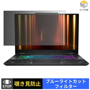 �y���������}���\���|�C���g2�{�z MSI Cyborg 17 B13W �`�����h�~ �ی�t�B���� �^�u�V�[���� �u���[���C�g�J�b�g �v���C�o�V�[�t�B���^�[ �p�\�R�� PC