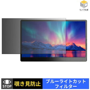 �y���������}���\���|�C���g2�{�z Laptomo S13 �`�����h�~ �ی�t�B���� �^�u�V�[���� �u���[���C�g�J�b�g �v���C�o�V�[�t�B���^�[ ���j�^�[