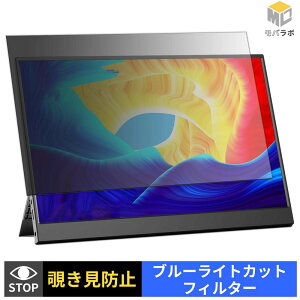 �y���������}���\���|�C���g2�{�z LGGST 156H �`�����h�~ �ی�t�B���� �^�u�V�[���� �u���[���C�g�J�b�g �v���C�o�V�[�t�B���^�[ ���j�^�[