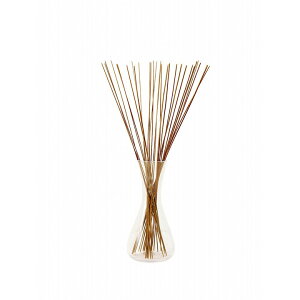 { L 30cmx20g rOCeA tOX q ItBX  gC ԓ   u C   7FΉ