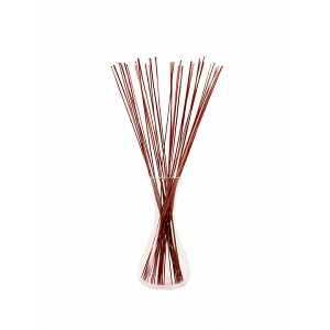 { L 30cmx20g rOCeA tOX q ItBX  gC ԓ   u C   7FΉ