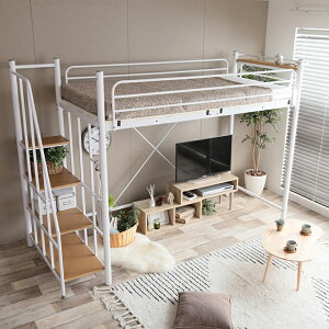 yN[|zzIzQ Vv Lofty Kittgxbh VO {It RZgt h~t[ xbhXy[X eʎ[ l炵 [ V