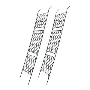   ACAO[J[e Argyle A[KC 2g g RpNg ډB   x_  KN | O  K[f  X`[