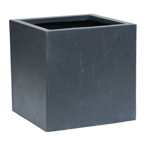 y|Cg10{I20JnIzAؔ  }OlVAv^[ TEXTURE eNX`[ p^36cm _ i y RpNg Ԓd i` k ϗtA ƒ؉ d r