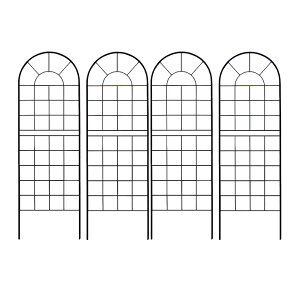   NVbNtFX150 [^Cv 4g _ mg[ ʋC ̌ ϋv K[fjO k i`  KN AeB[N i