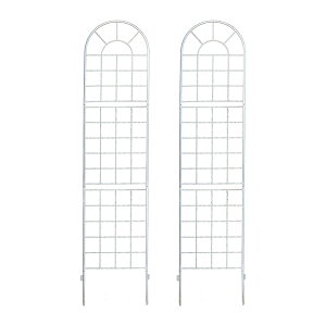   NVbNtFX220 nC^Cv 2g _ mg[ ʋC ̌ ϋv K[fjO k i`  KN AeB[N i