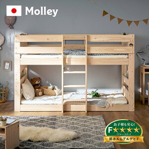 y5Nۏ/Y/BYЂ̂gpzixbh 2ixbh VOTCY Molley([[) qmL w Y ixbg 2ixbg [^Cv qpxbh   RpNg lp q