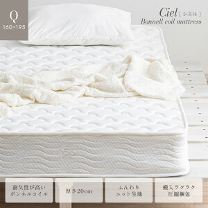 }bgX  NC[TCY {lRC}bgX 20cm Ciel(VG) ~zc ~zc  xbh}bg xbh}bgX RC}bgX {l}bgX d 