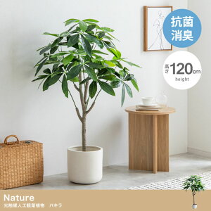 y|Cg10{I20JnIztFCNO[ ϗtA 120cm ^ G} lHϗtA pL Nature(i`) tFCN O[ lH ϗtA   t i` 