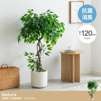 楽天市場】光触媒 フェイクグリーン（インテリア・寝具・収納）の通販