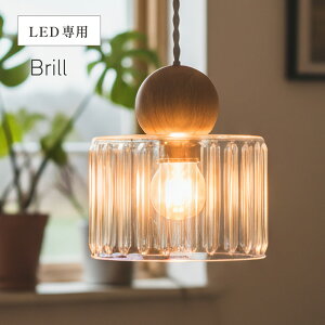 VƖ y_gCg KX ؐ k V[OCg  1 LEDdp KXVF[h Brill(u) Lb` Ɩ ݂艺 _Ng[ _CjO rO H