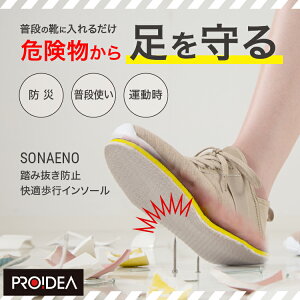 yN[|zzzyPROIDEA/SONAENOz~ C 21`28cm ݔh~KsC\[ 8TCYΉ j  SC ƌC C\[ h  ЊQ nk hЃObY AEghA 