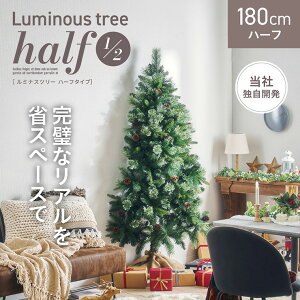 y|Cg10{I20JnIzNX}Xc[ k[hc[ c[  Vv  k ȒPgݗ NX}X Xmas rO Q q qǂ 3̗t Luminous(