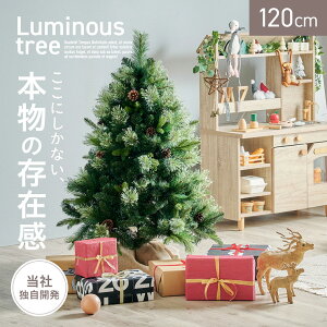 NX}Xc[ k[hc[ c[  Vv  k ȒPgݗ NX}X Xmas rO Q q qǂ 3̗t Luminous(~iX) k[hc[Pi 120cm