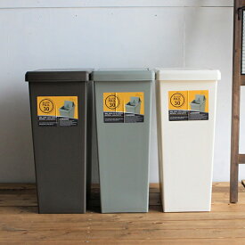 [ポイント5倍] [日本製] ゴミ箱 スライドペール30L LFS-762 3色対応 蓋付き スリム キッチン リビング スライド式 上開き 角型 ダストボックス 分別 くずかご ごみばこ プラスチック製 キャスター付き