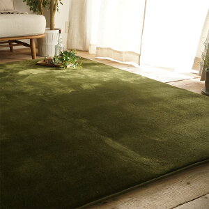 y|Cg9{I20JnzyzbgJ[ybg/g[ΉzO 􂦂 ӂ탉O 95x140cm zf[vX 4FΉ O}bg  OJ[ybg ᔽ ` H 