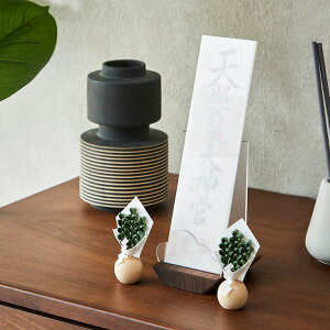 y|Cg7{I20Jnz_Dz_[ _D e ܂ݍ~j 3_Zbg 2FΉ { _I u^ DX^h _^ ӂ  FD    bN z_