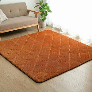 y|Cg9{I20JnzΉ ɌLgO Oh 185x300cm 8FΉ O J[ybg O}bg LgO h ` R[fC k  n  g[ zb