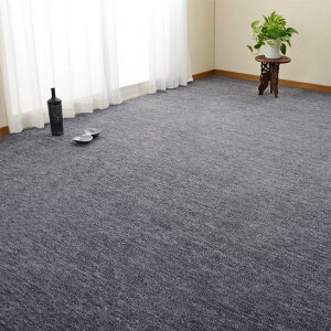 �y���{��/���g�[�Ή��z���D�J�[�y�b�g 176x261cm Raum(���E��) 3�F�Ή� 3���p ���O �J�[�y�b�g ���O�}�b�g �����` �t���[�J�b�g ���n �k�� ������� �Z�� �y�� �R���p�N�g ���b�`