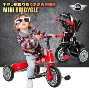 ベビー 三輪車の人気商品 通販 価格比較 価格 Com ベビー 三輪車の人気商品 通販 価格比較 価格 Com